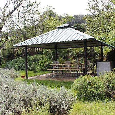 Senani Colonial Holiday Bungalow Nuwara Eliya Buitenkant foto