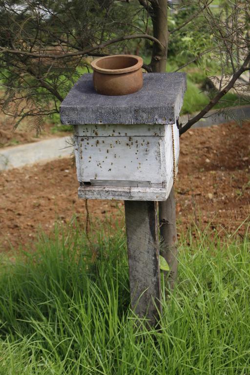 Senani Colonial Holiday Bungalow Nuwara Eliya Buitenkant foto