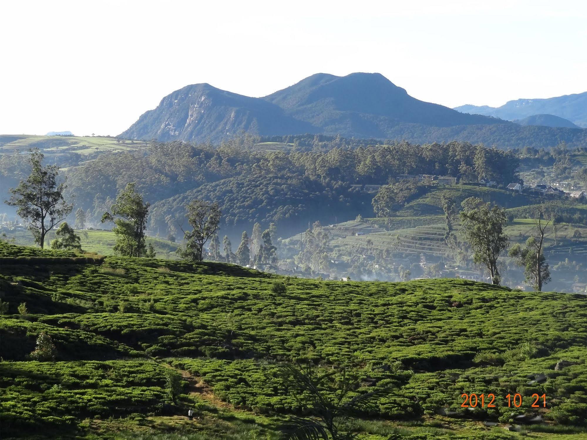 Senani Colonial Holiday Bungalow Nuwara Eliya Buitenkant foto